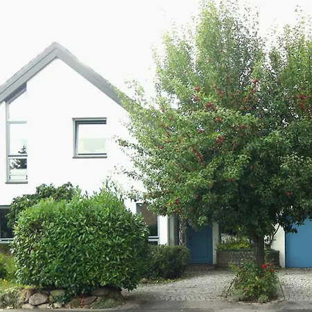 Heidelberg Viola Neustadt in Holstein